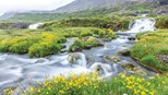 Iceland